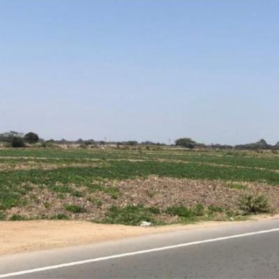 VENTA DE AMPLIO TERRENO EN LAMBAYEQUE